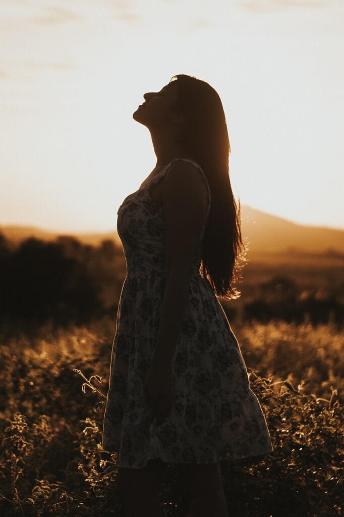 modern Custom WordPress websites for wellness brands