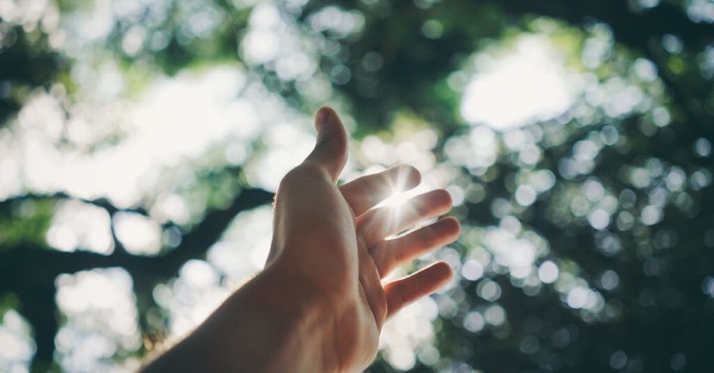 custom one-page WordPress website for wellness brand